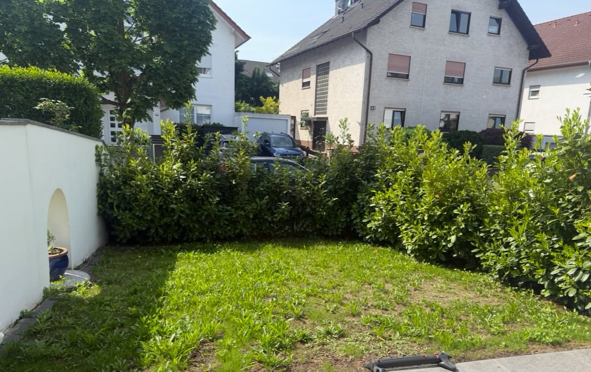 Garten vor der Pflege: Rasen voller Unkraut